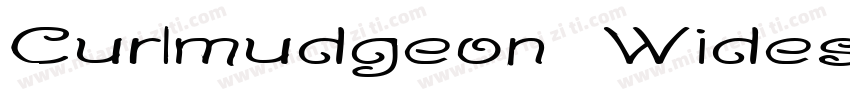 Curlmudgeon Wideside字体转换